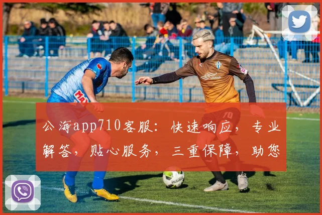 公海app710客服：快速响应，专业解答，贴心服务，三重保障，助您无忧畅游