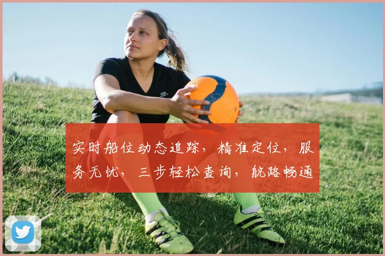 实时船位动态追踪，精准定位，服务无忧，三步轻松查询，航路畅通无阻，航速掌控在手。