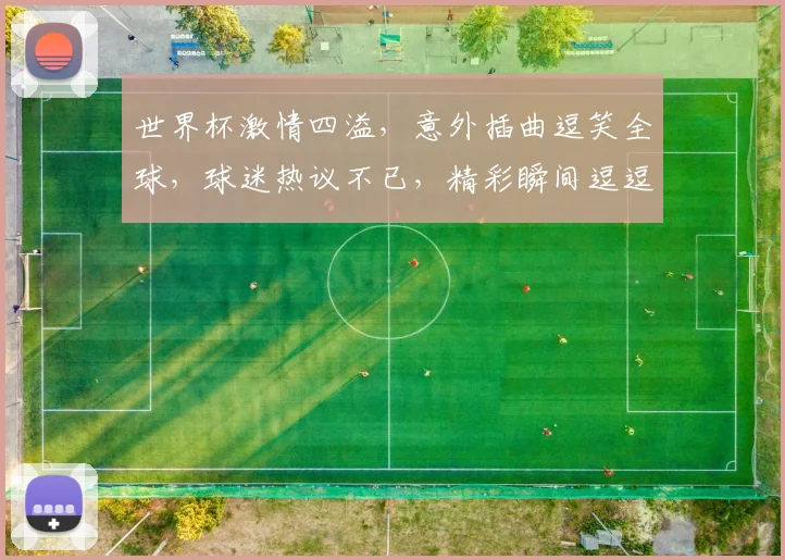 世界杯激情四溢，意外插曲逗笑全球，球迷热议不已，精彩瞬间逗逗乐。