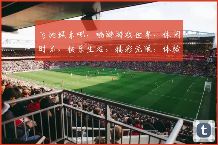 飞驰娱乐吧，畅游游戏世界，休闲时光，快乐生活，精彩无限，体验非凡